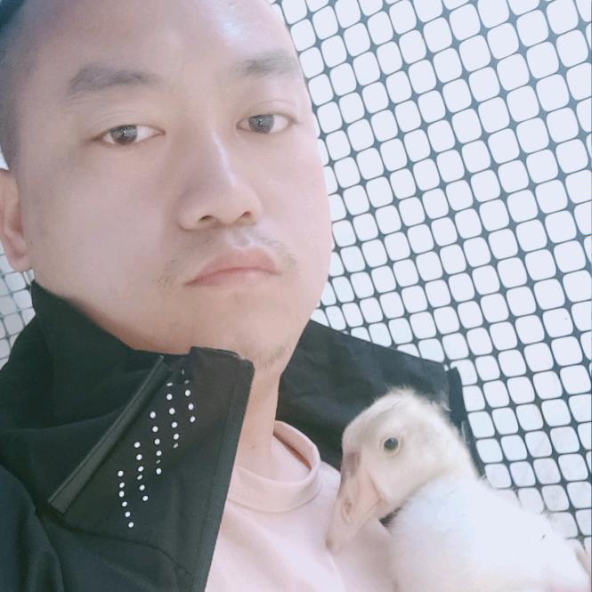小张老院的养鸡鸭鹅记