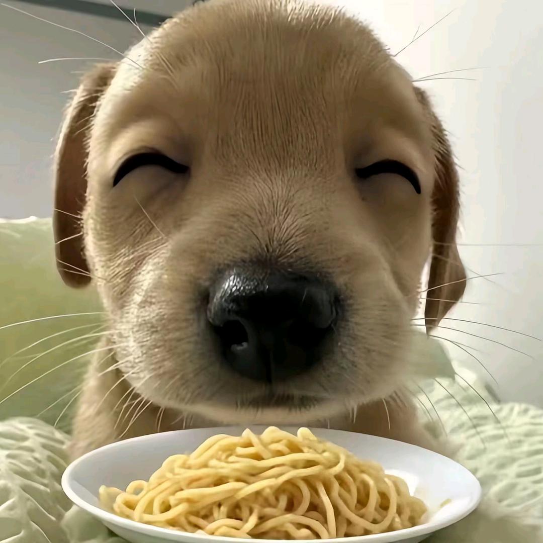 ₌᳐･֊･₌᳐
