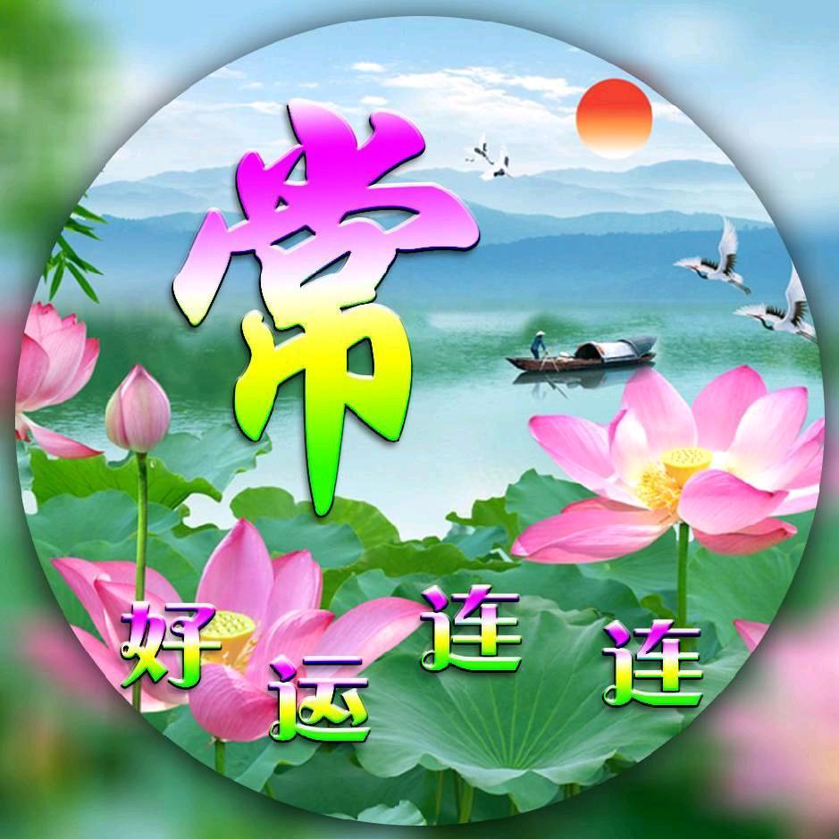 悟秋🌴🌲
