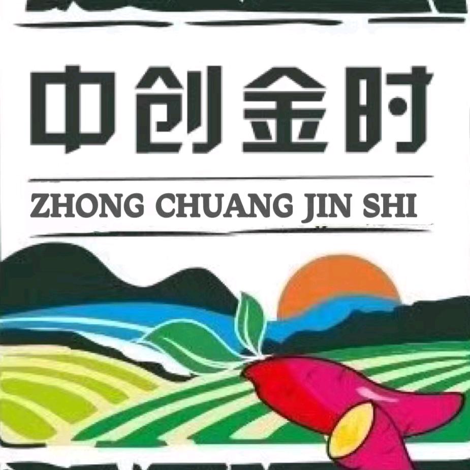 中创金时