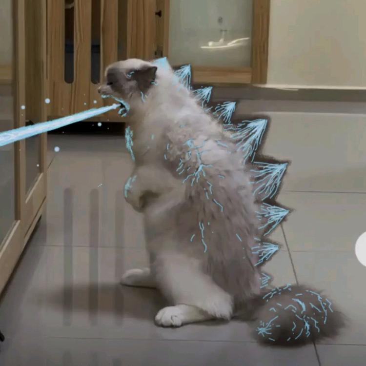 世一肘