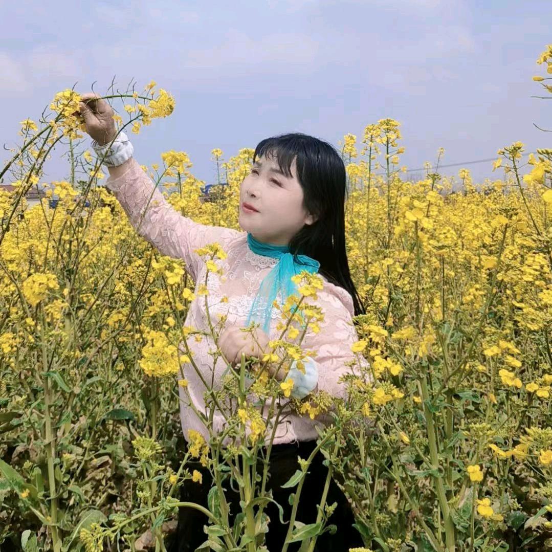 梦蝶女