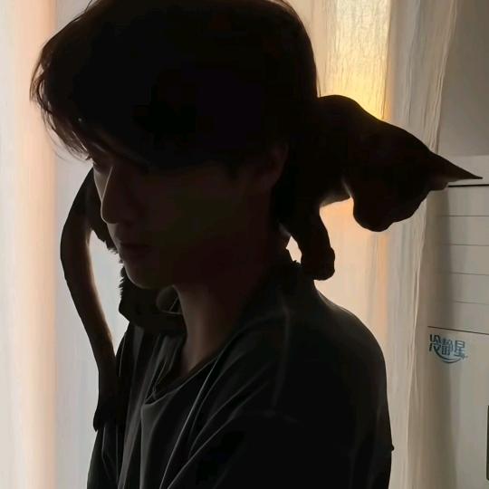 不瘦下来不改名