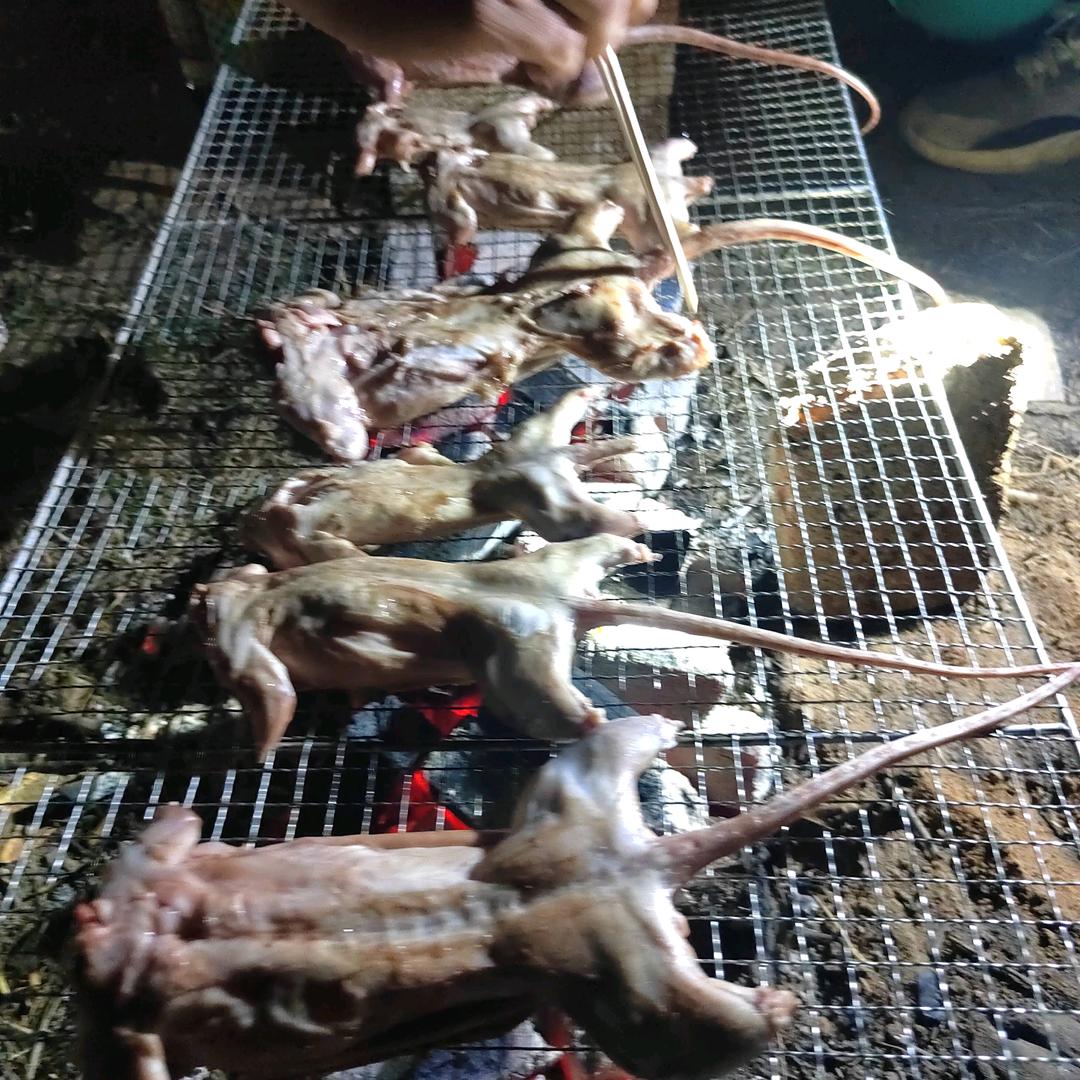 人心百态