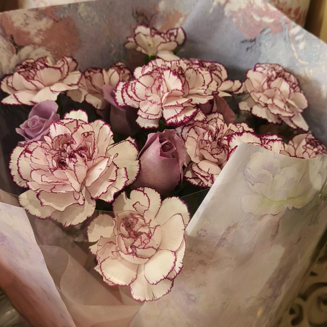 丽宝108拜学习中