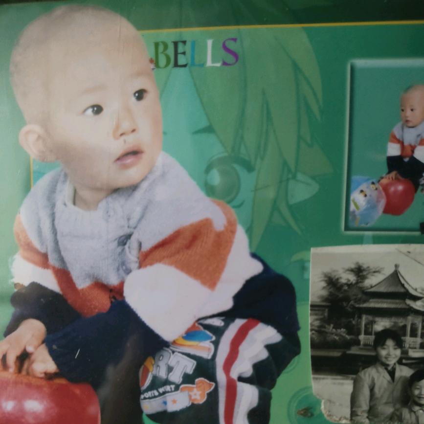 蚝杜油杜