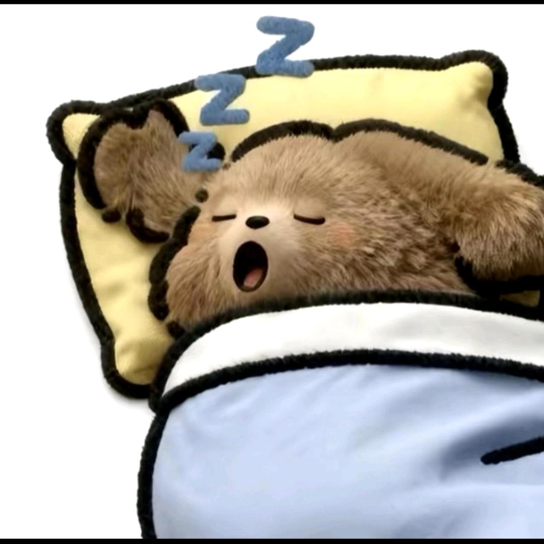 ZZZ