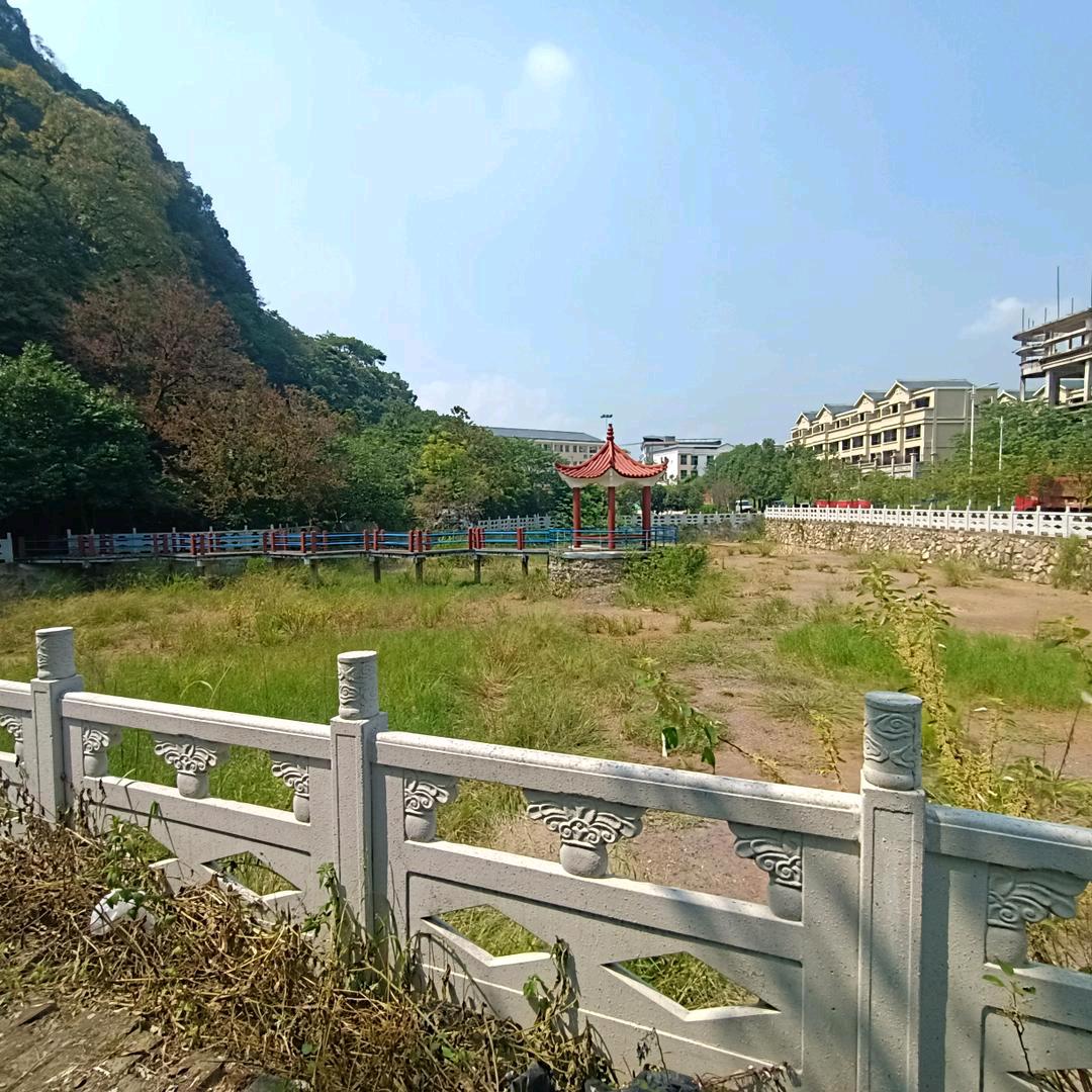 一生为家人拼博