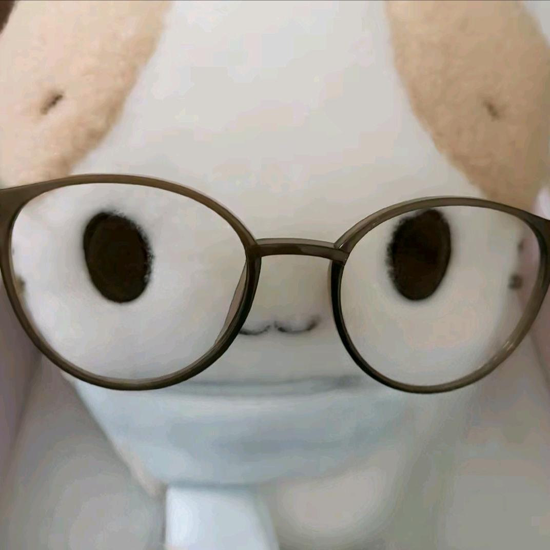 AA盼盼11