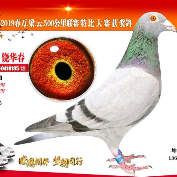 华春