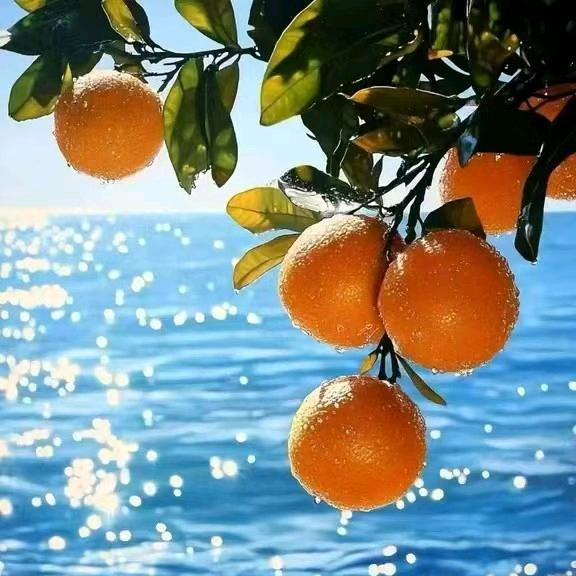 ✨💕ꦿ᭄山里哥✨༉ᩚ᭄