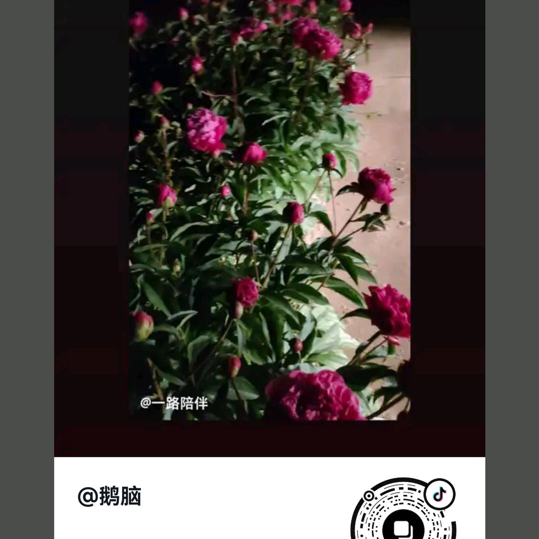灰吵