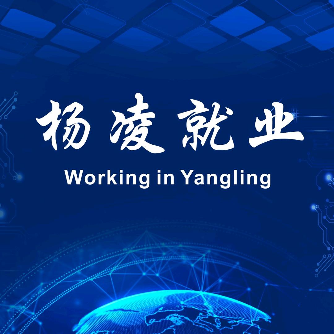 杨凌就业(每周五下午四点直播)