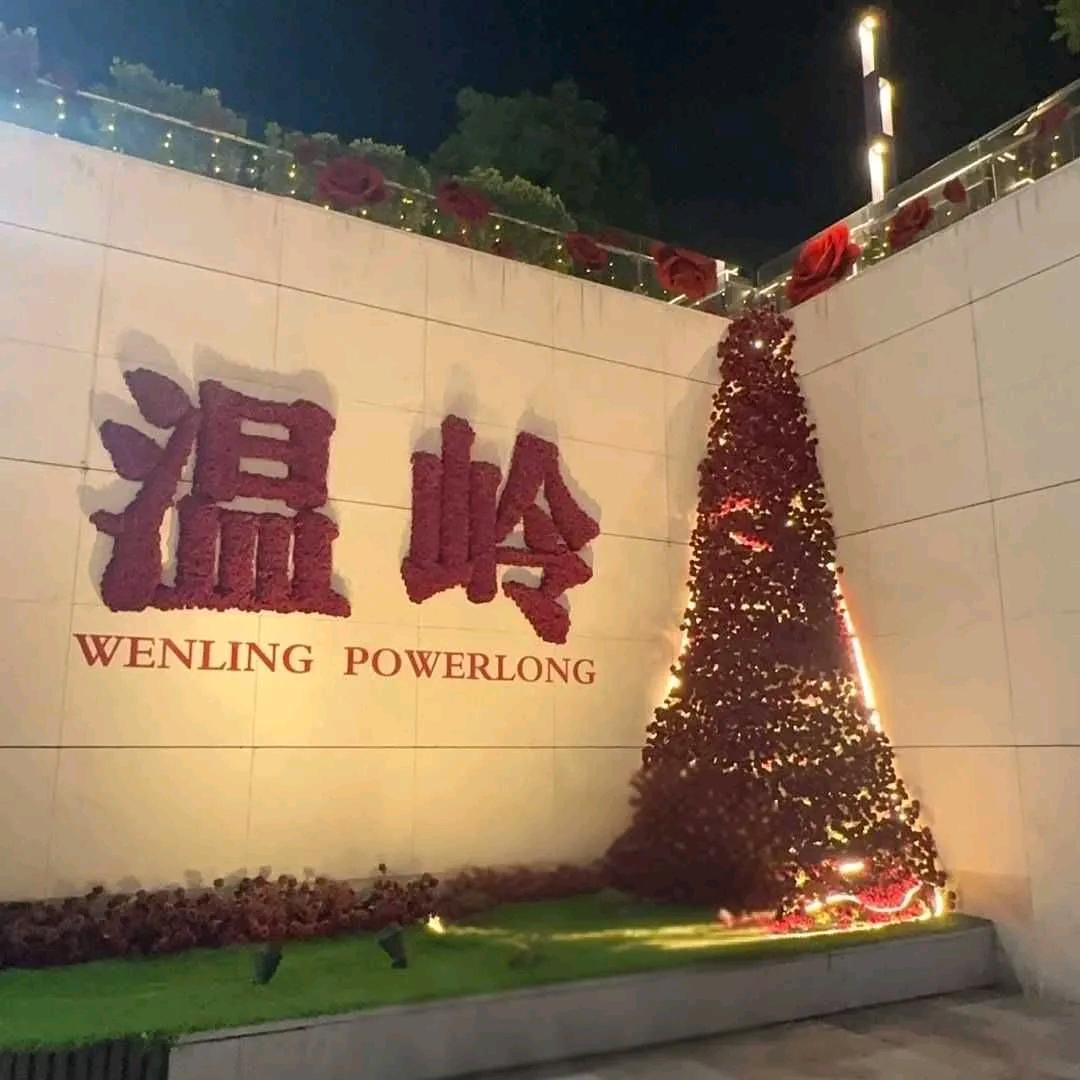 无需多言