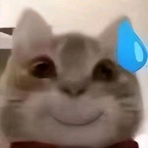 都很好的