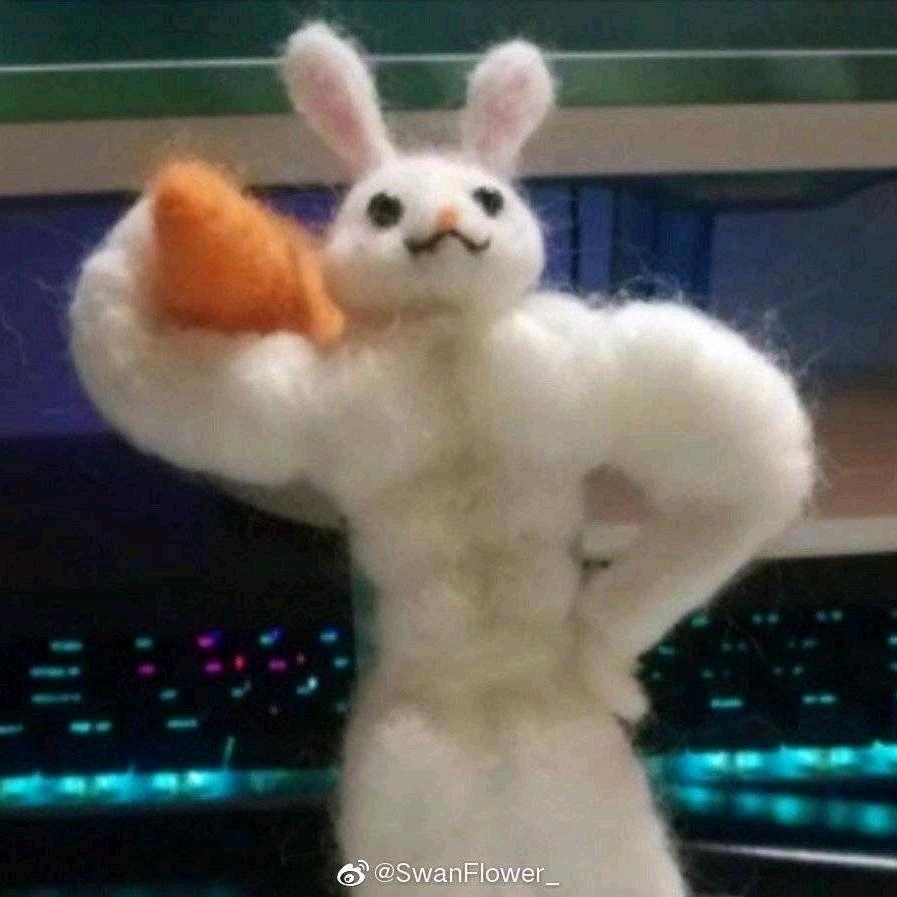 熊大鸡（宝可梦不打对战版）