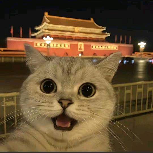 奶茶，5