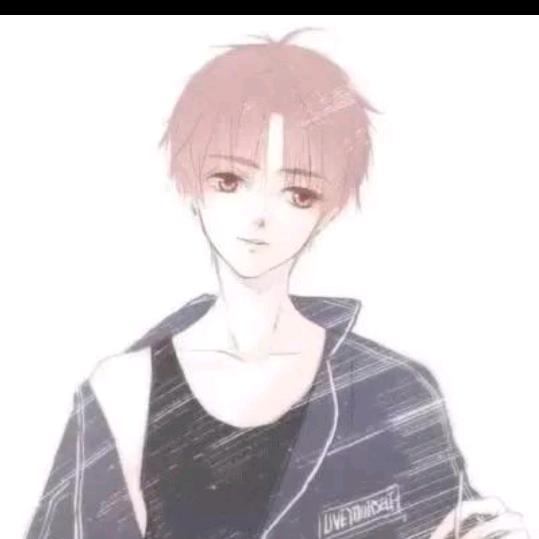 蠢驴