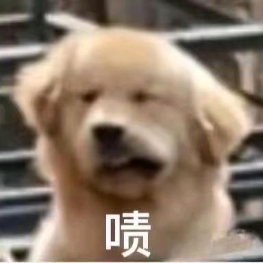 极道万岁