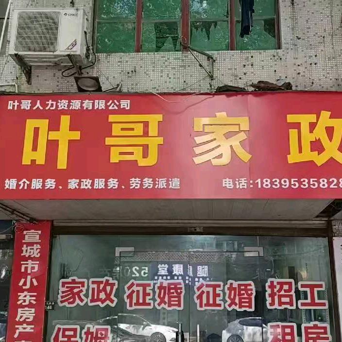 叶哥家政:免费招工