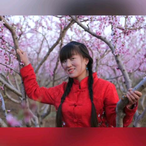 正宁张娜鸿