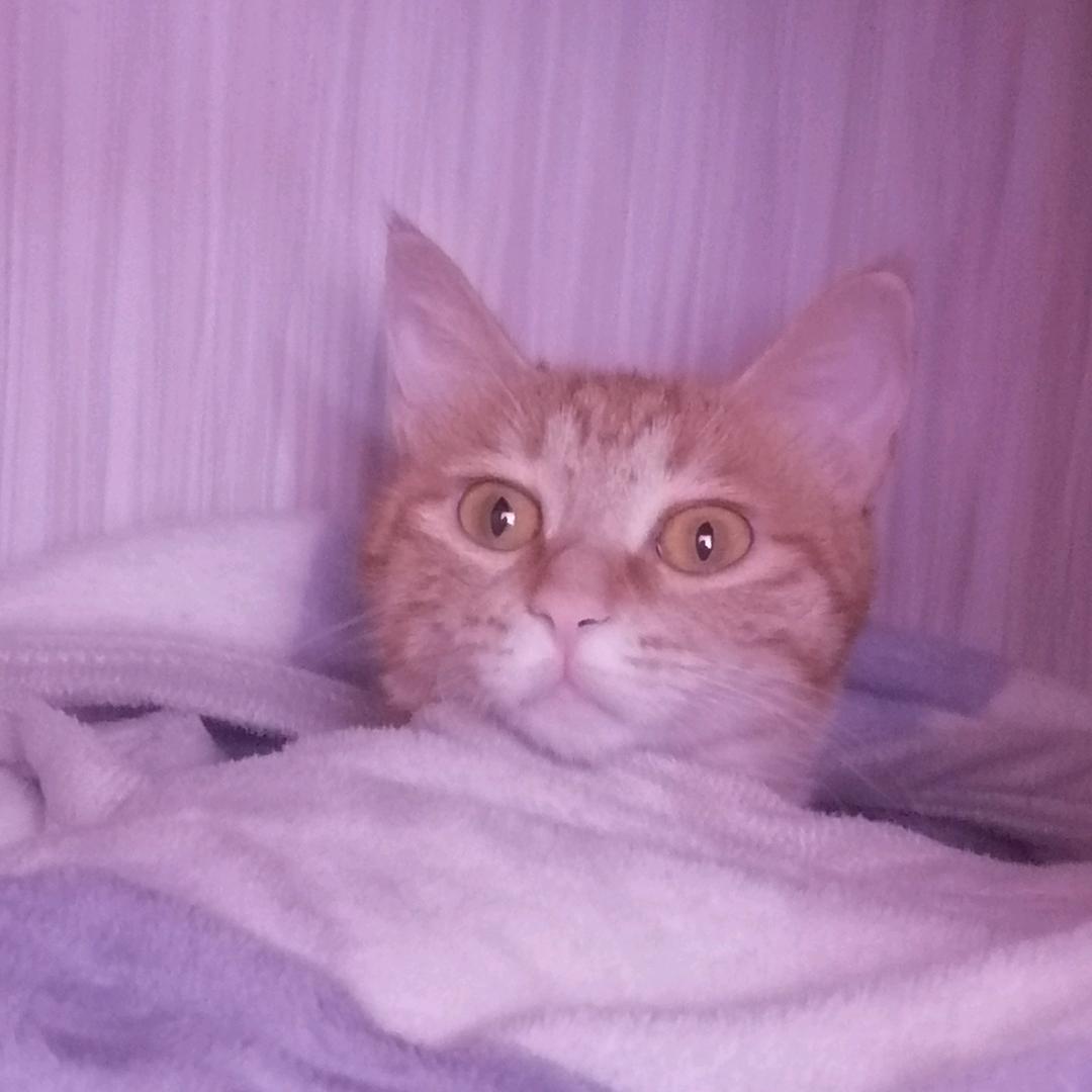 又活了一天=͟͟͞͞=͟͟͞͞(●⁰ꈊ⁰