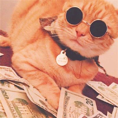 大吴勇闯亚马逊（跨境）