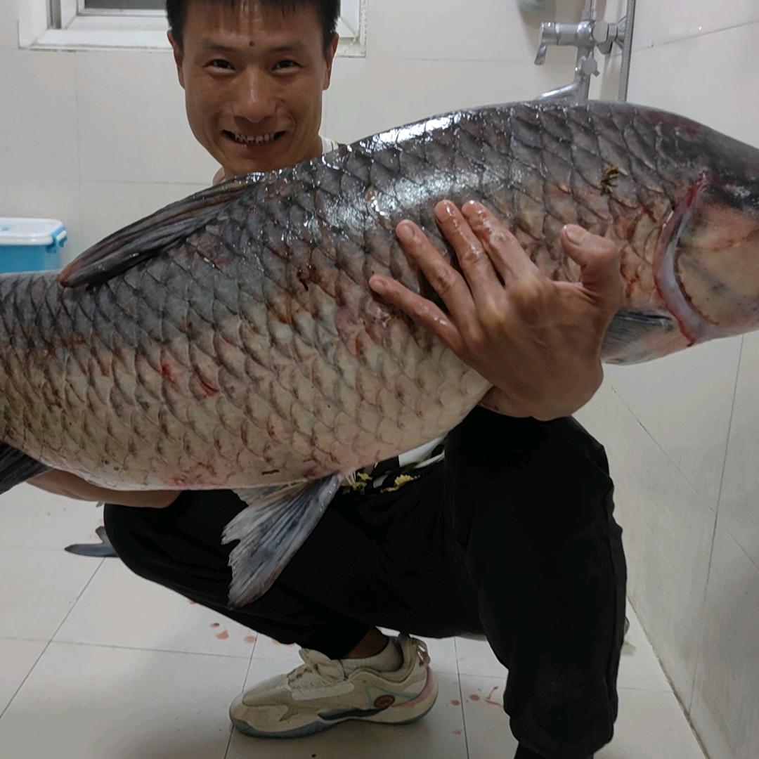 伍琼
