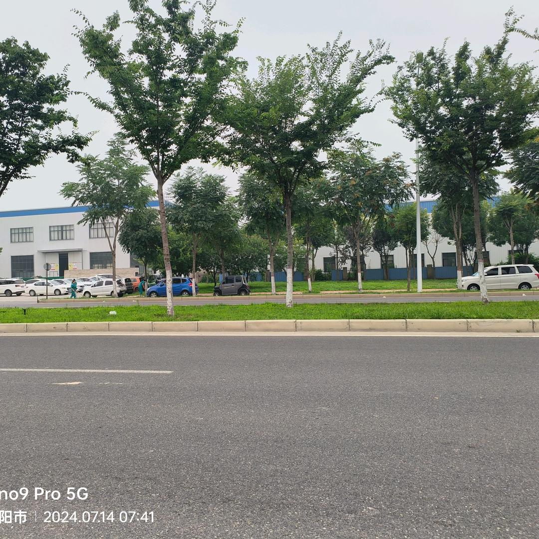 এ᭄ོℒᎭℯ⃝记忆格式化༊💞ℒᎭℯ