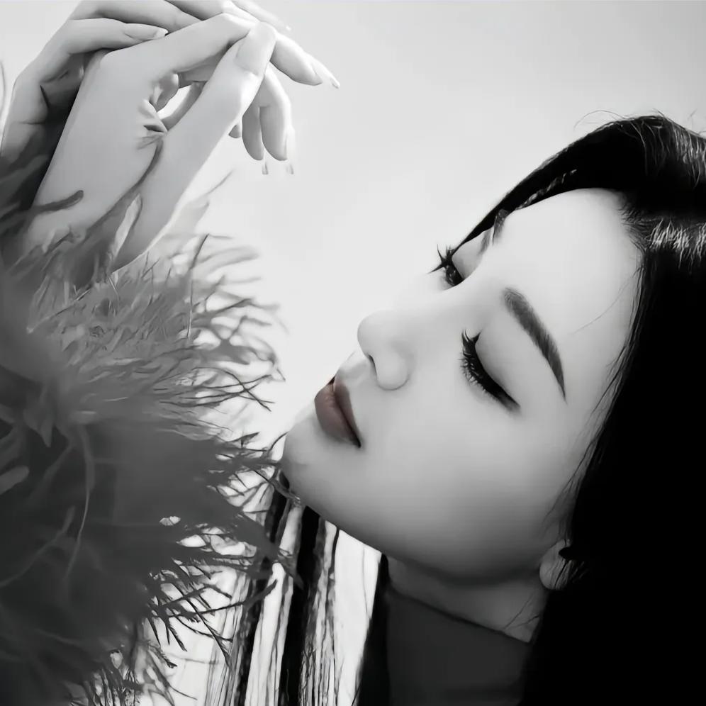 冷艳玫瑰