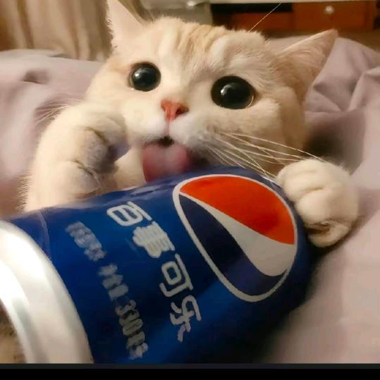 睡不醒的觉