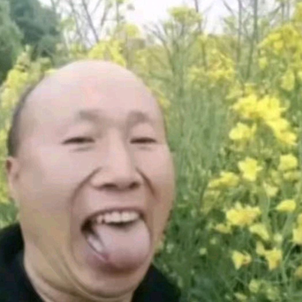 莱昂纳多