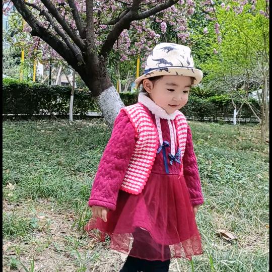 祖国的花朵少年状智慧