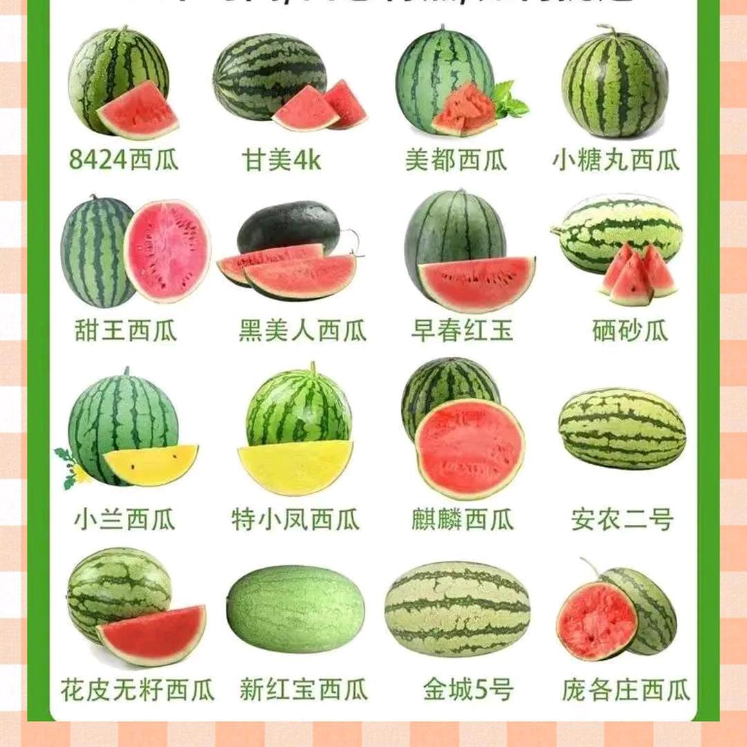 卐 理德峰吉祥 卐