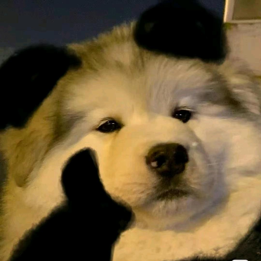 ：：