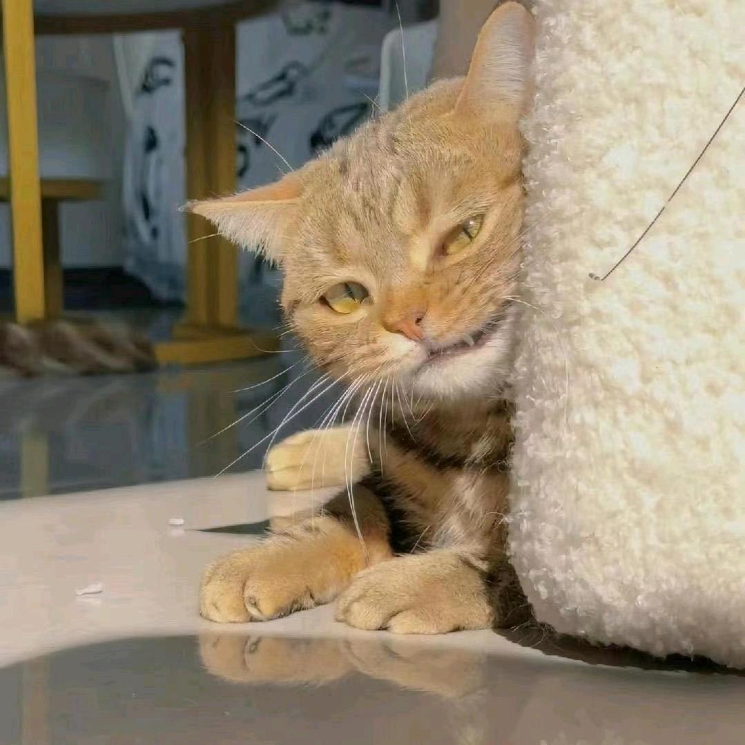 花常异