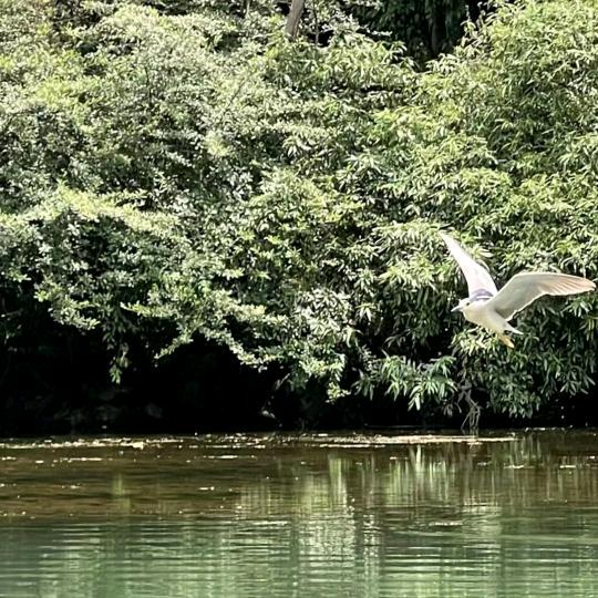 💫挚爱一生💫