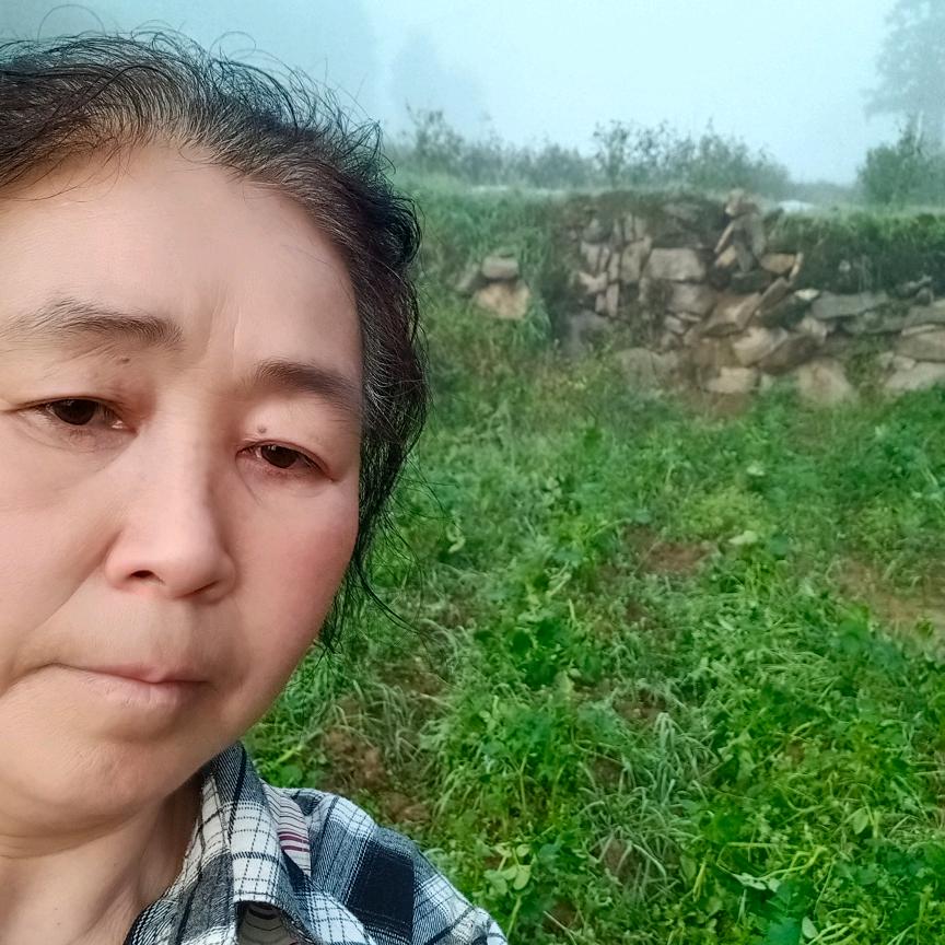 熊兴翠