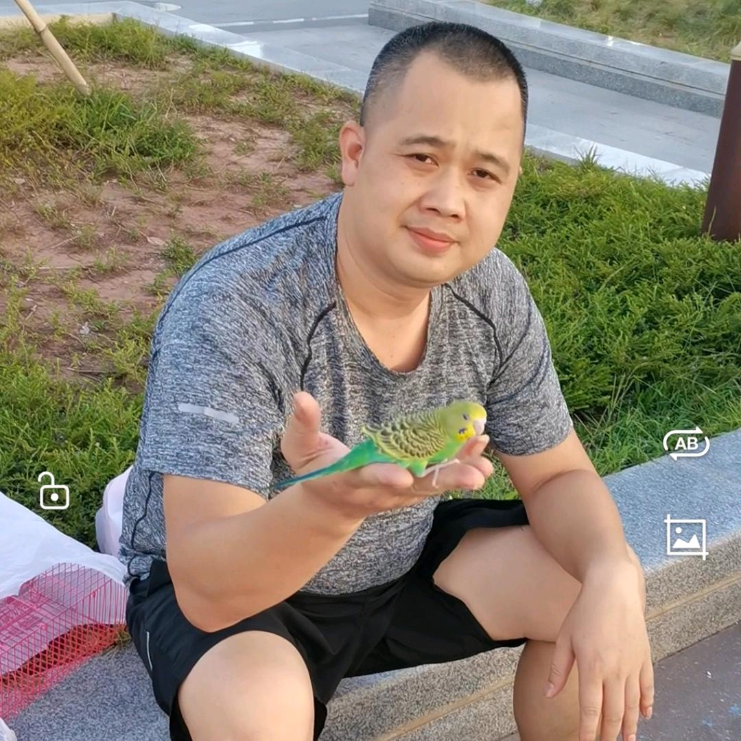 罗定鹦鹉之家