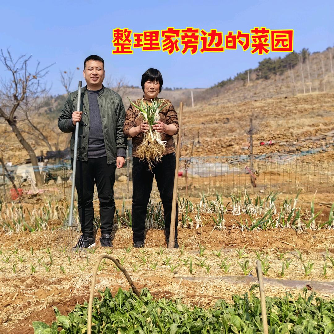 大叔来了666