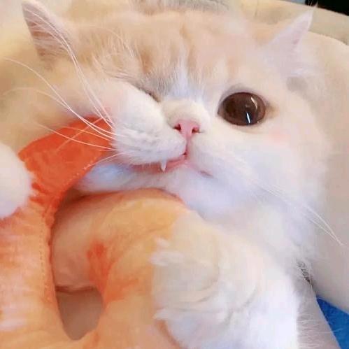 紫熙（🥝预约家业和生命树）