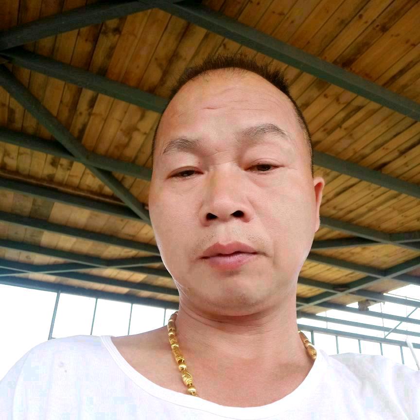 杨小黑