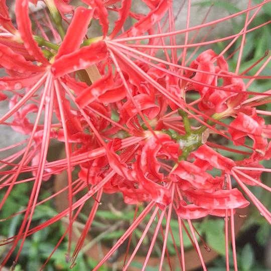 周学方今生有你