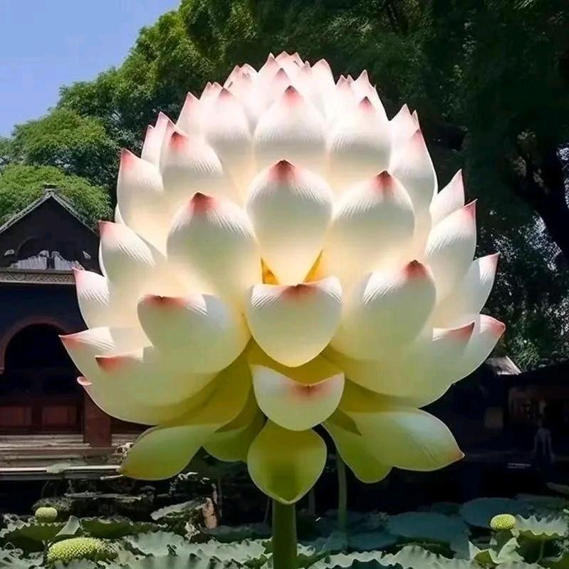 道念