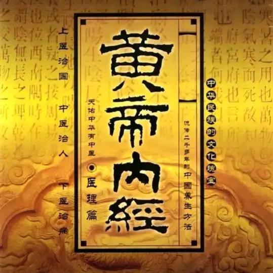 千年中医之古籍
