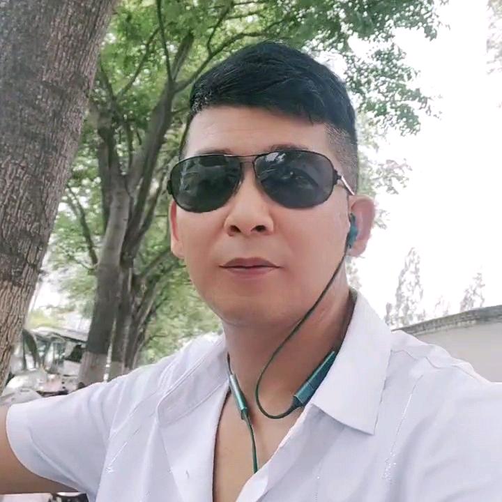 飞来飞去