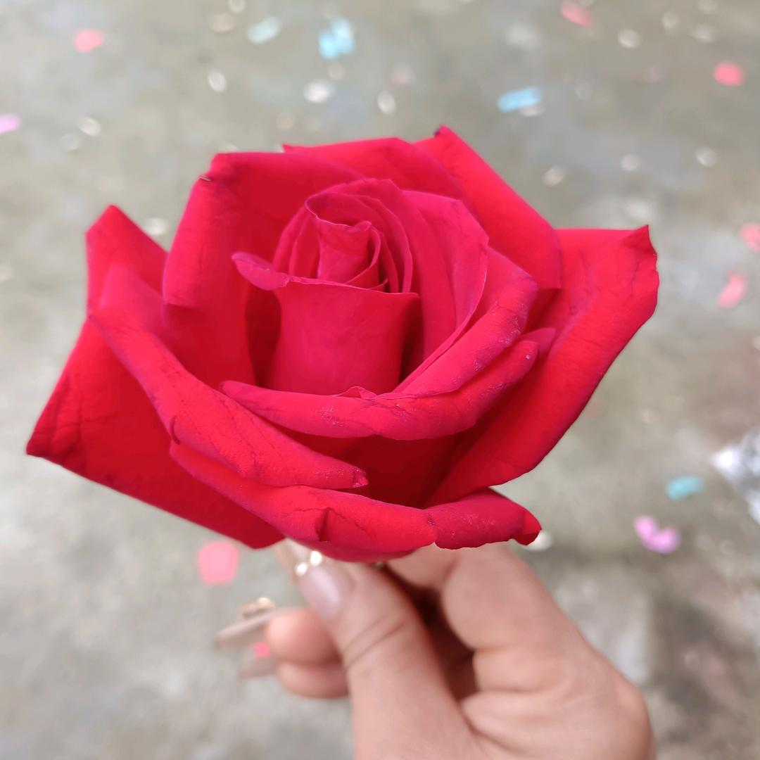 怀化中药材种植