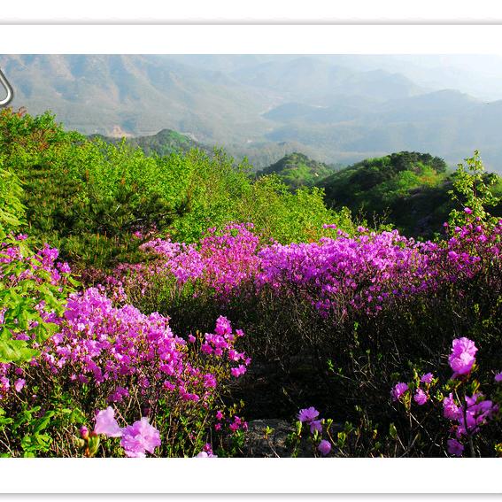 山东烟台栖霞牙山前面