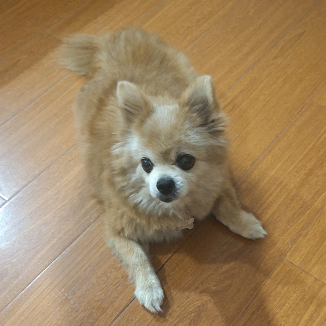 多财多福《吉祥》