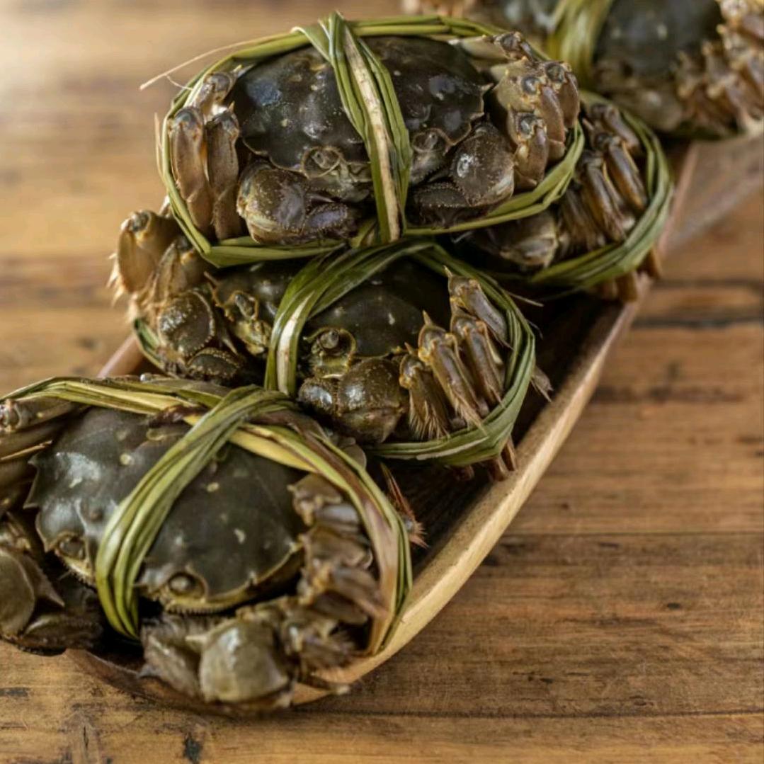 蟹之源大闸蟹@产地直销直发